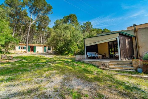 Finca i Llucmajor, Mallorca, Llucmajor - € 1.800.000 | Ref: 46702 - foto 21